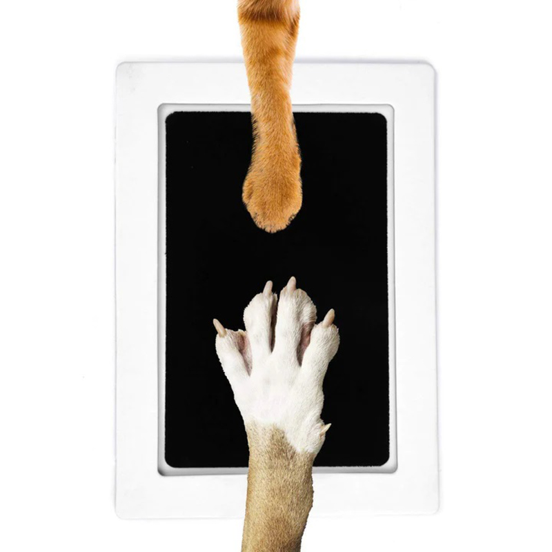 Cat Dog Paw Print Ink Kit Pad  - огляд і ціна Footprint Ink Kit