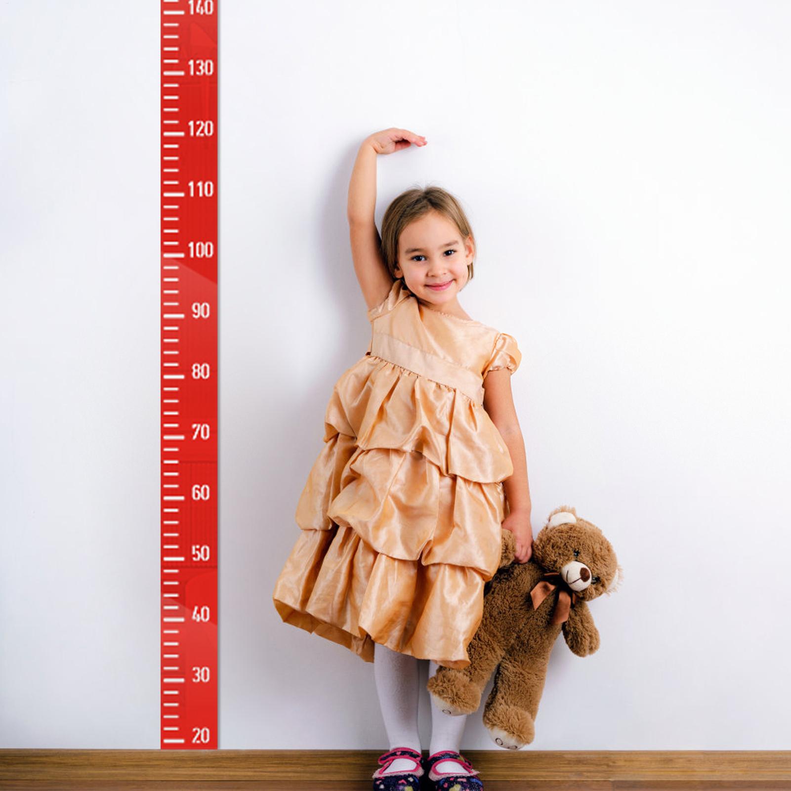 Growth Chart Wall Mirror Heigh - огляд і ціна Growth Chart Ruler